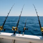 タイラバ入門：道具の選び方から釣り方まで完全ガイド イメージ画像