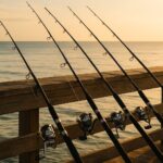 堤防の手すりに立てかけられた複数の釣りロッドと穏やかな海の風景