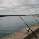 ウキ釣り入門:道具の選び方から釣り方まで完全ガイド イメージ画像