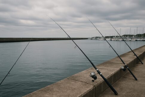ウキ釣り入門：道具の選び方から釣り方まで完全ガイド イメージ画像