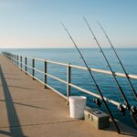 穏やかな青空と海が広がる堤防の釣りポイント