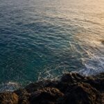 磯の上から見下ろした青緑色の海面にベイトの群れが浮いている朝マズメの風景