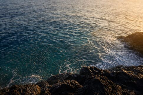磯の上から見下ろした青緑色の海面にベイトの群れが浮いている朝マズメの風景